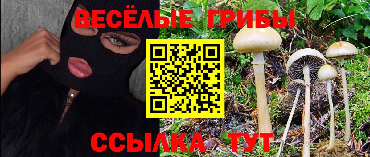Псилоцибиновые грибы прущие грибы Жигулёвск